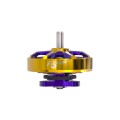 Flywoo ROBO 1002 19800KV / 23500KV Fpv Motor Gold/Purple (New Version) - 19800KV - 1PCS