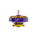 Flywoo ROBO 1002 19800KV / 23500KV Fpv Motor Gold/Purple (New Version) - 23500KV - 1PCS