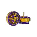 Flywoo ROBO 1202.5 11500kv  FPV Motor Gold/Purple (New Version) - 1PC