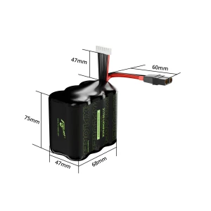 Flywoo Explorer BAK P45D 21700 6S1P 4500mAh